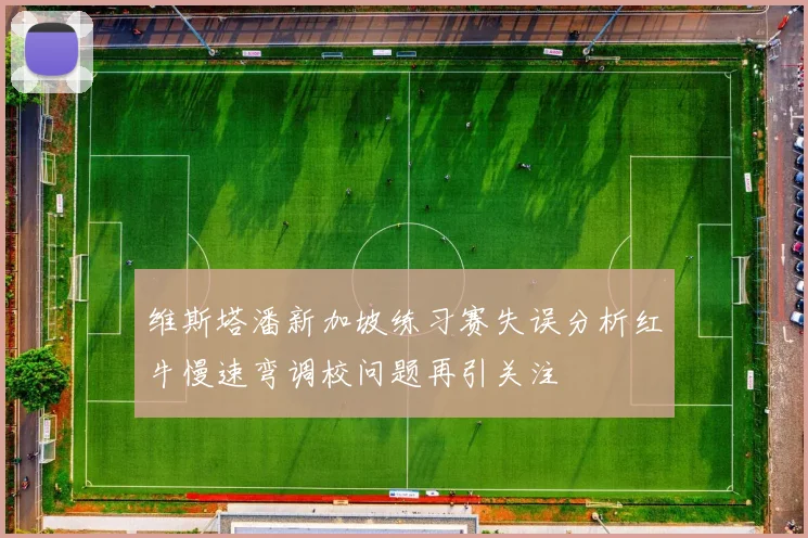 维斯塔潘新加坡练习赛失误分析红牛慢速弯调校问题再引关注