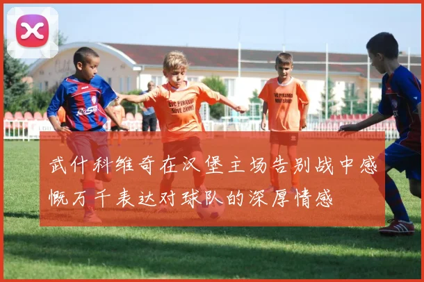 武什科维奇在汉堡主场告别战中感慨万千表达对球队的深厚情感
